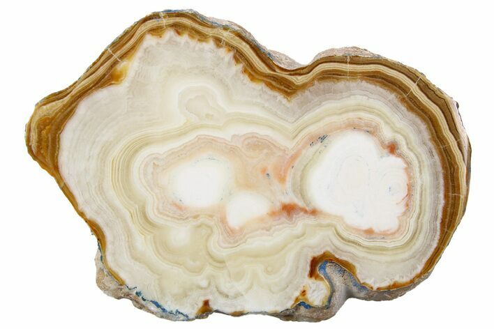 Polished Aragonite Stalactite Slice - Morocco #259735